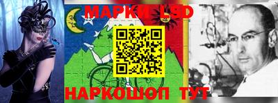 гидропоника Гусев