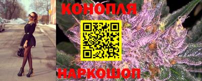 гидропоника Гусев