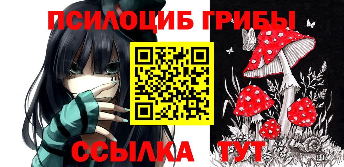 Миасс  Галлюциногенные грибы ЛСД  Вход с VPN 