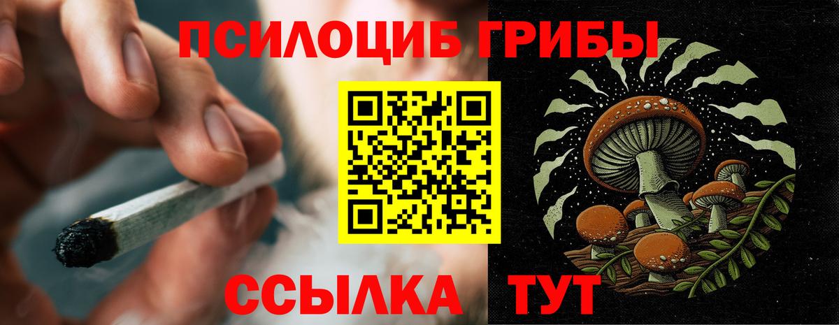 Псилоцибиновые грибы Psilocybe Миасс